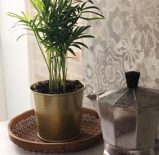 아파트 Tabula House - 4 Elements 카타니아