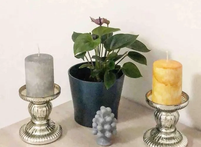 Tabula House - 4 Elements